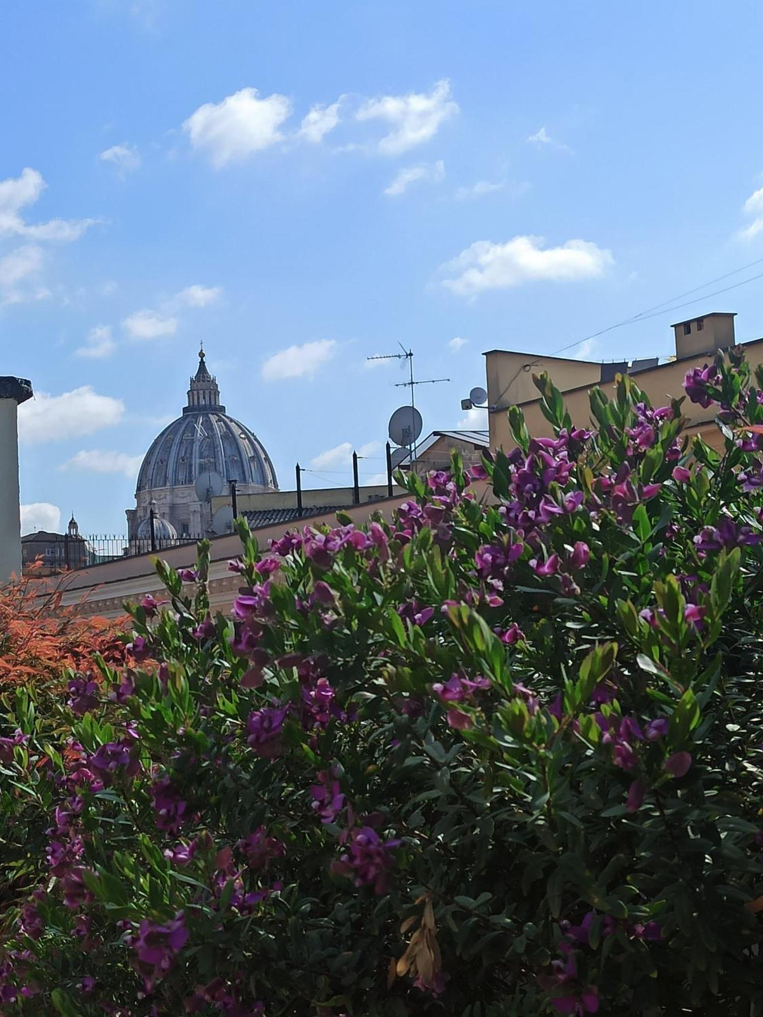 Living By Vatican With Panoramic Terraces In רומא מראה חיצוני תמונה